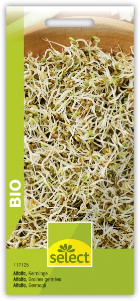 Bio Keimlinge Alfalfa