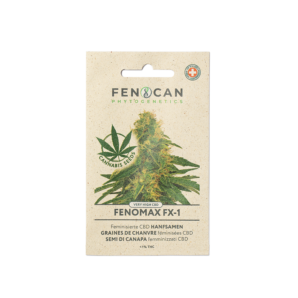 Cannabis Chanvre Fenoqueen - Graines de fleurs / Plantes annuelles