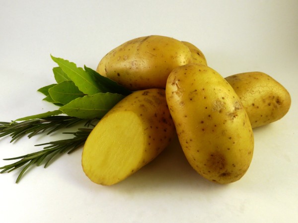 Plants de pommes-de-terre 'Nicola', 2.5 kg