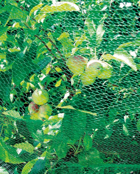 Vogelschutznetz grün 2×5 m