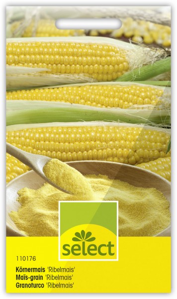Maïs-grain 'Ribelmais'