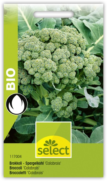 Bio VK Broccoli 'Calabrais'