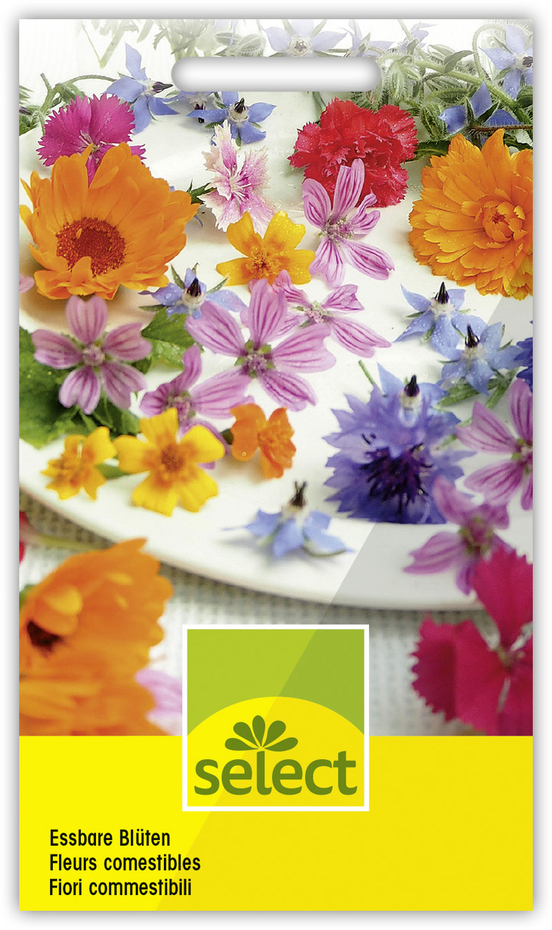 Sommer-Blumen-Wiese dekorative Blumenmischung Essbare Blüten Mischung Samen