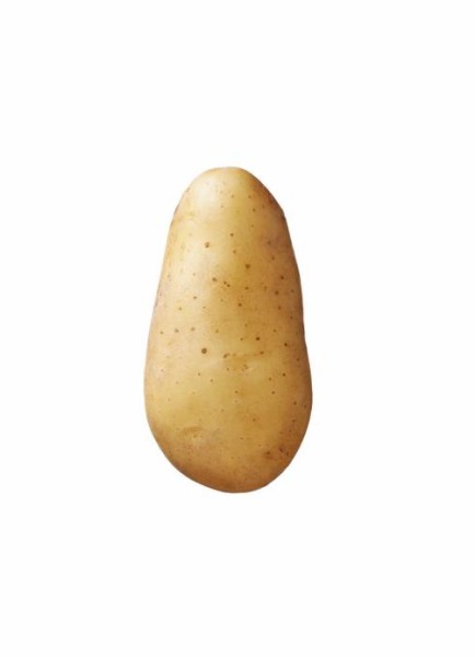 Saatkartoffeln 'Annabell' 2.5kg