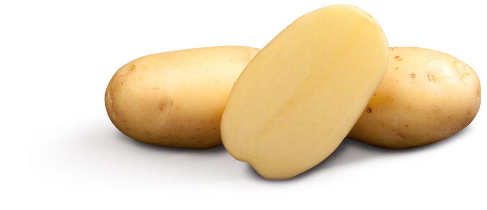 5 kg Pflanzkartoffeln Romanze Saatkartoffeln Steckkartoffel EUR 3,00/kg 
