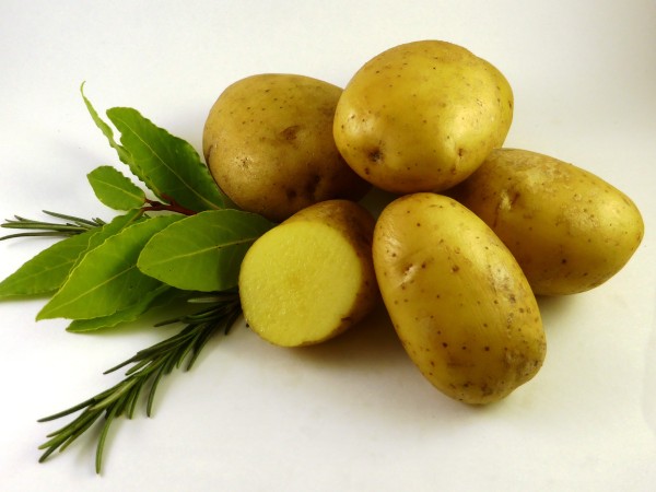 Bio Plants de pommes-de-terre 'Vitabella', 1 kg