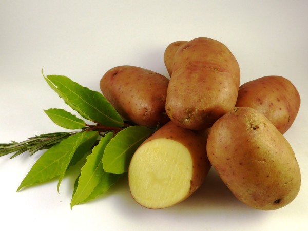 Saatkartoffeln 'Désirée' BIO, 1 kg