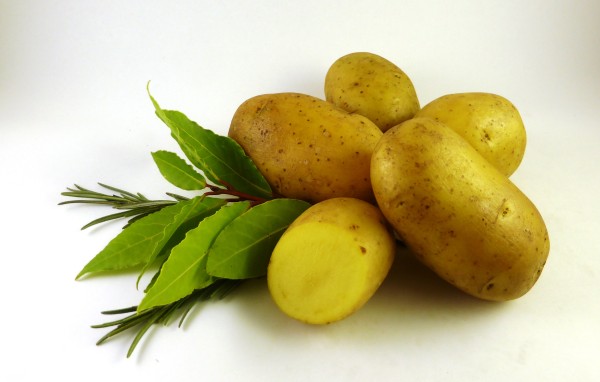 Plants de pommes-de-terre 'Agata', 2.5 kg
